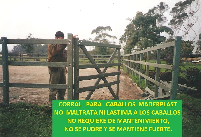 corral establo pesebrera para caballos corrales caballos pesebreras caballos establos caballos picadero corral pista caballería caballos de paso fino equitación salto trocha percherones 01 corral establo pesebrera para caballos corrales caballos pesebreras caballos establos caballos picadero corral pista corral establo pesebrera para caballos corrales caballos pesebreras caballos establos caballos picadero corral pista caballería caballos de paso fino equitación salto trocha percherones 01 caballería caballos de paso fino equitación salto trocha percherones 01